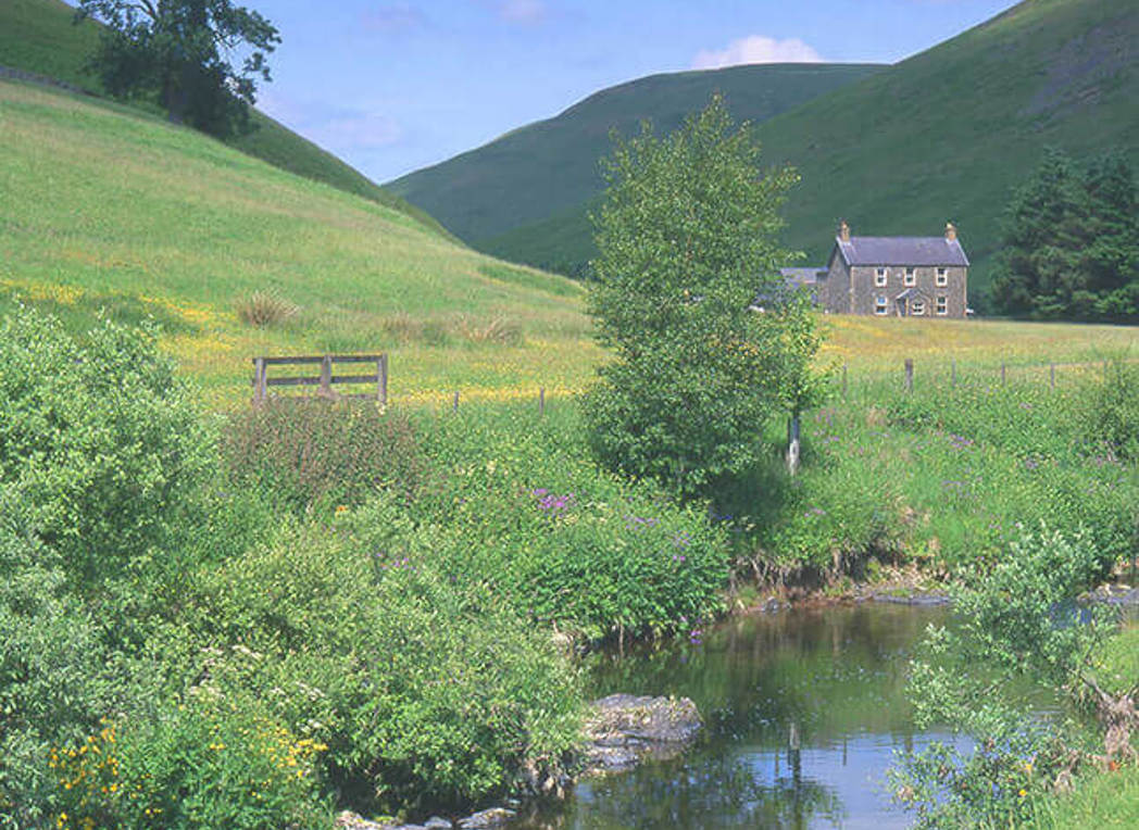Cheviots-credit-Northumberland-National-Park-SUB