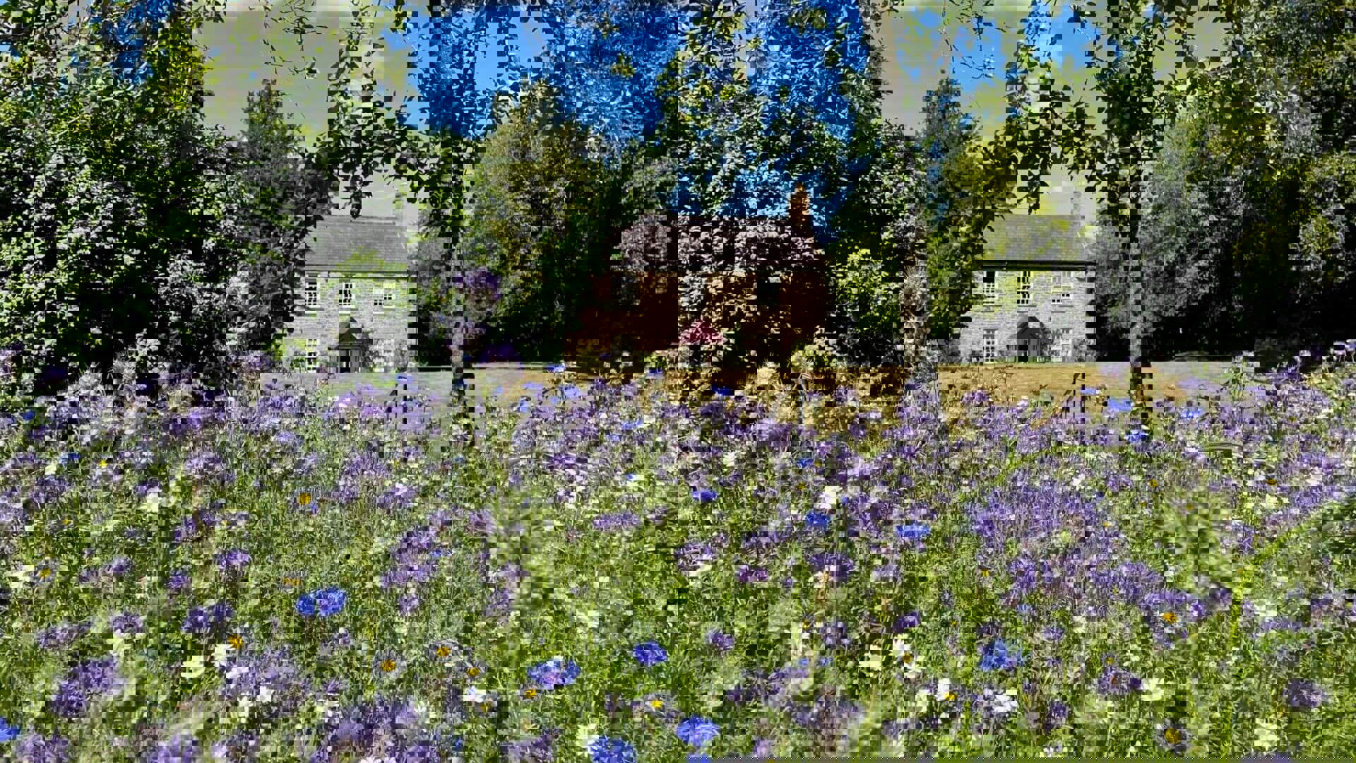 Cherryburn-2022-Rebecca-Hetherington