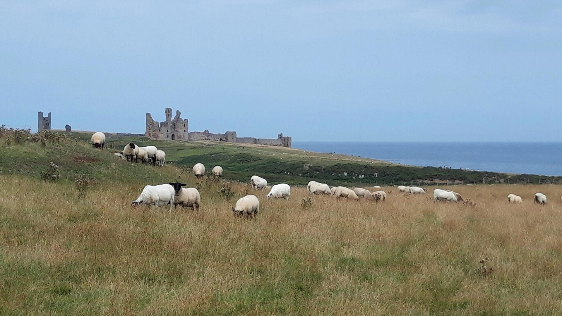 Special-offer-stay-one-night-longer-HERO-credit-@pohbelforduk