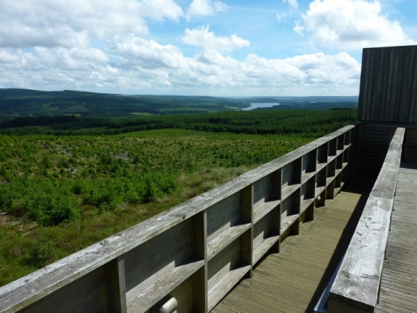 Star-BQ - Sunday 13th July