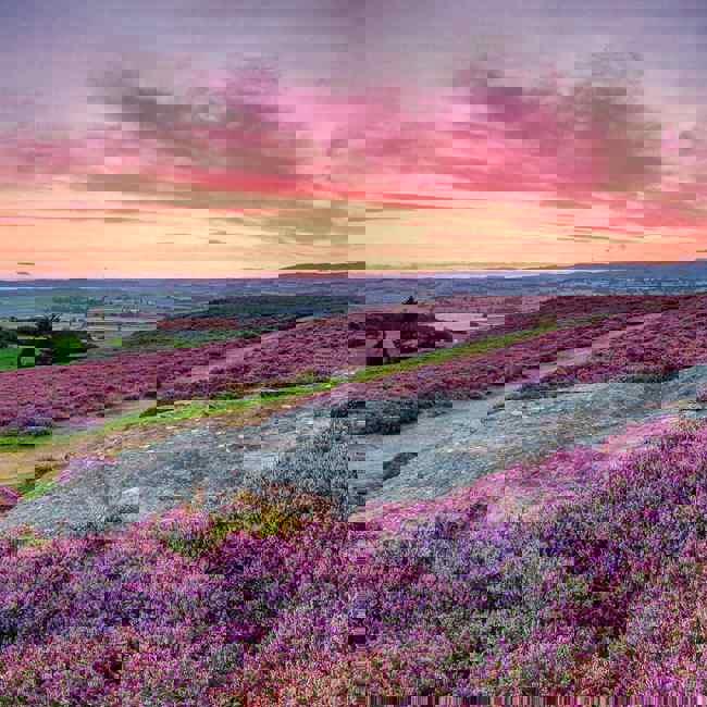 coquet-valley-2023