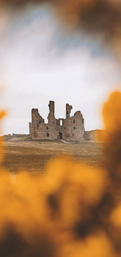 Seasons-Autumn-SUB-credit-to-@peterdinsmore