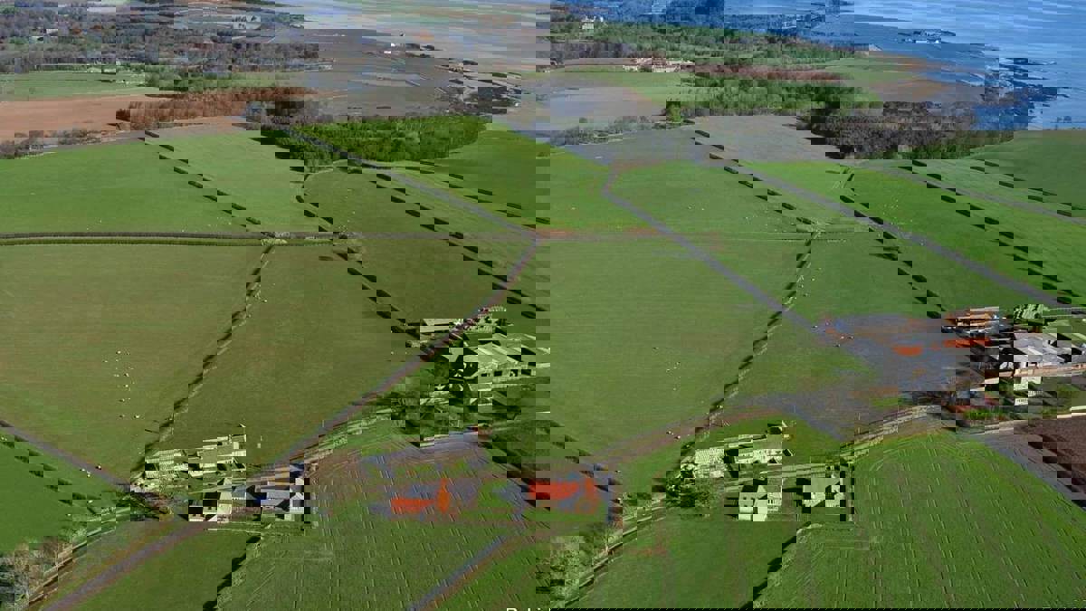 low_steads_aerial_shot_1