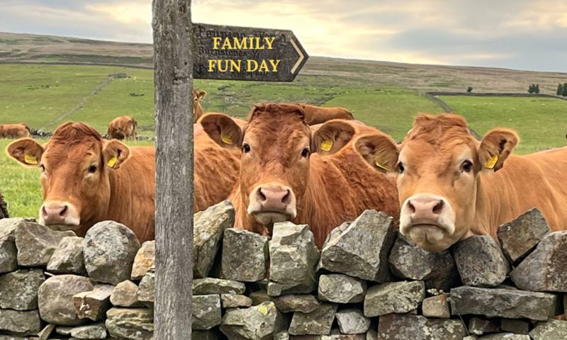 Family Fun Day