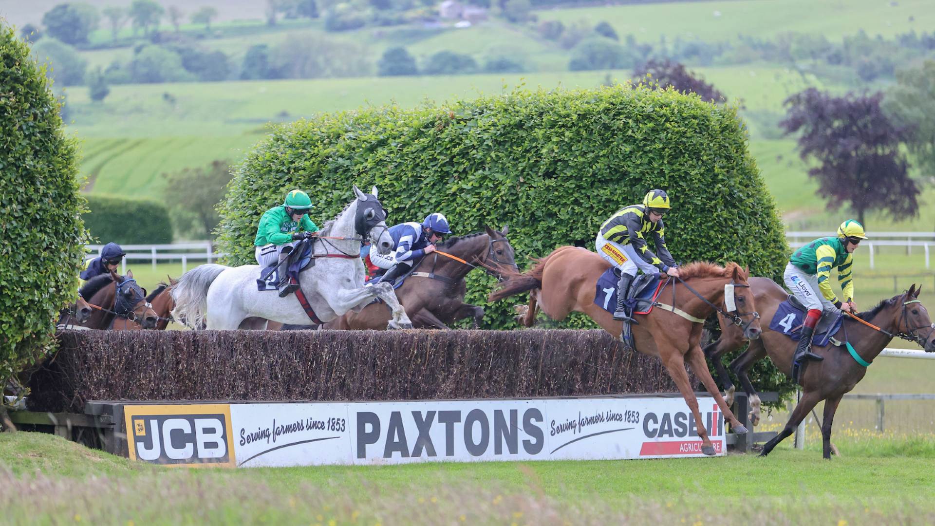 Autumn Raceday