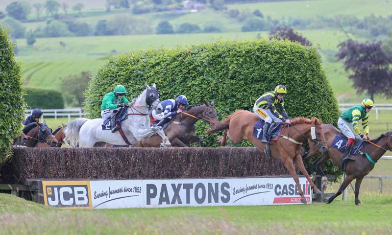 Autumn Raceday