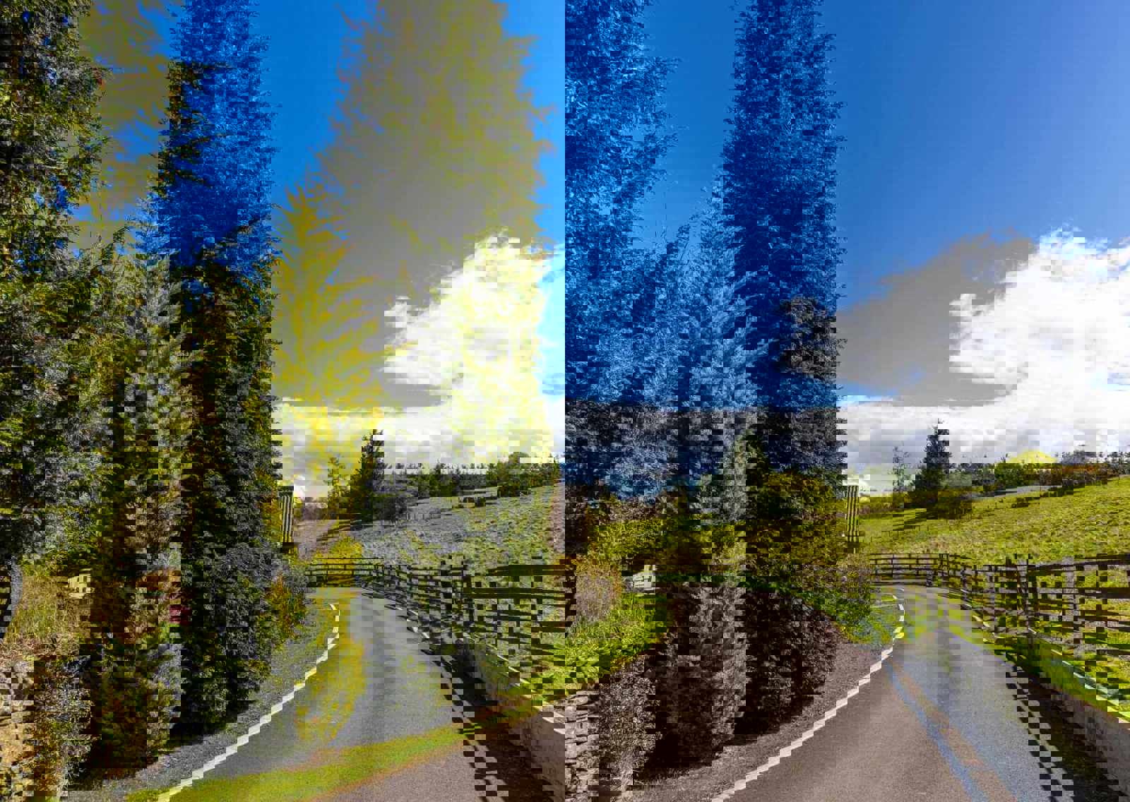 SH-Driveway