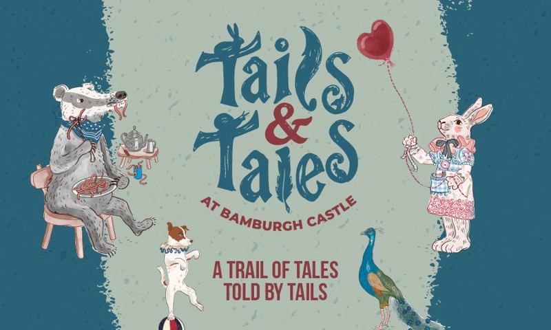 Ce49cd35 009B 4D3c Baaf 79149302Fa7e