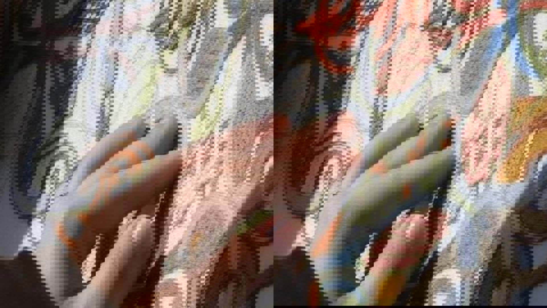 Ad-Gefrin-Yule-Embroidery