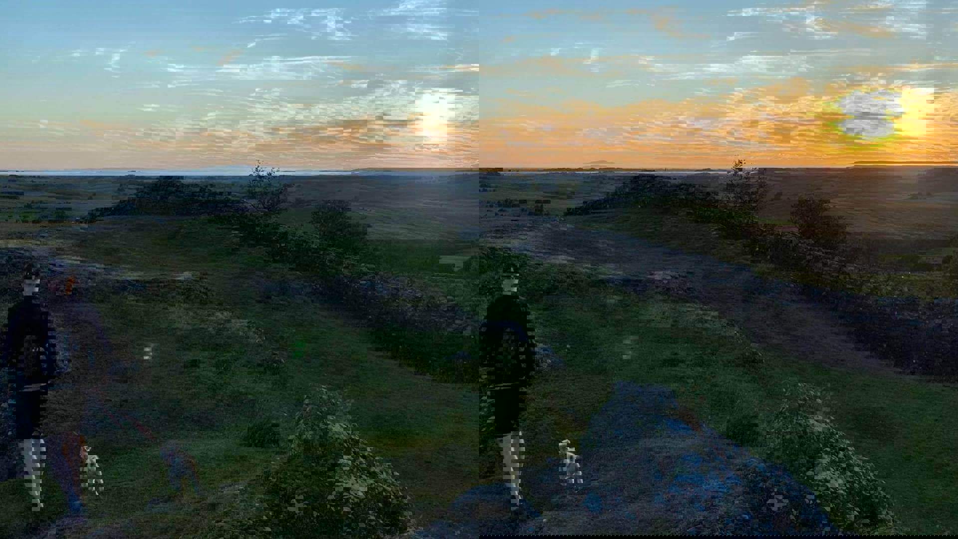 walltown-country-park_1