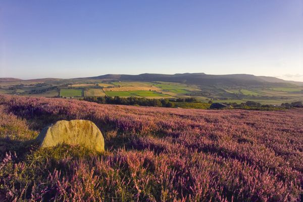 Northumberland National Park nominated  for National Park of The Year Award
