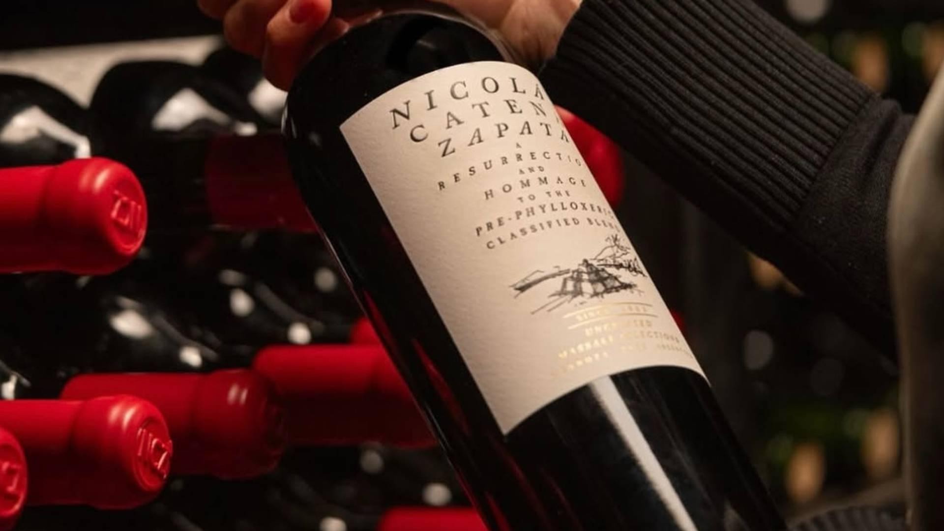 D&P Catena Wine Dinner