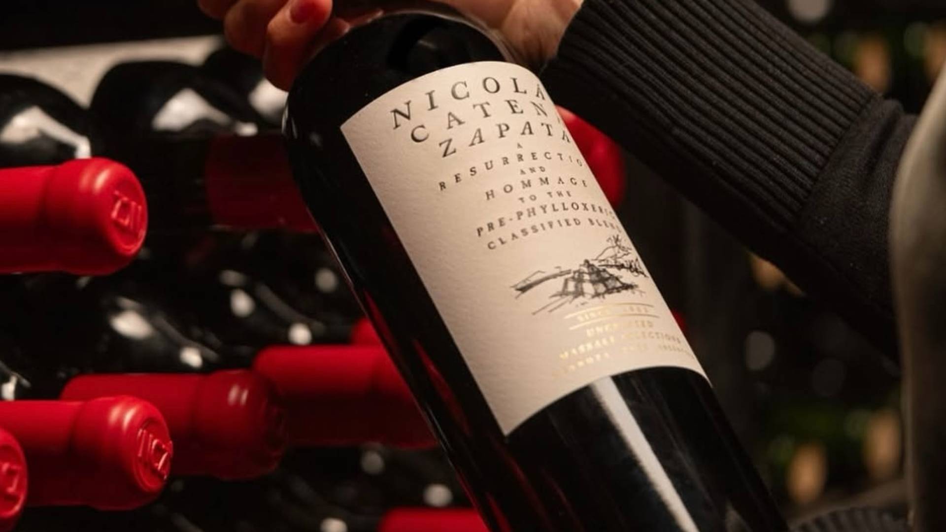 D&P Catena Wine Dinner