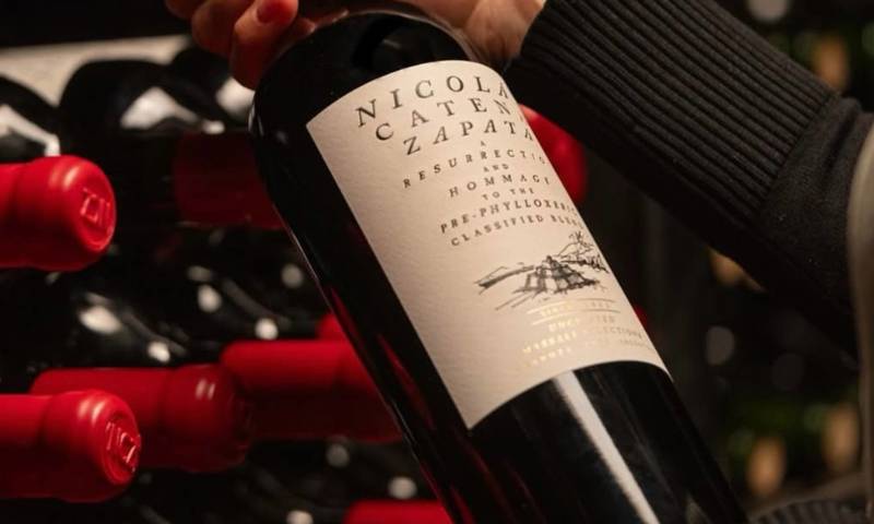 D&P Catena Wine Dinner