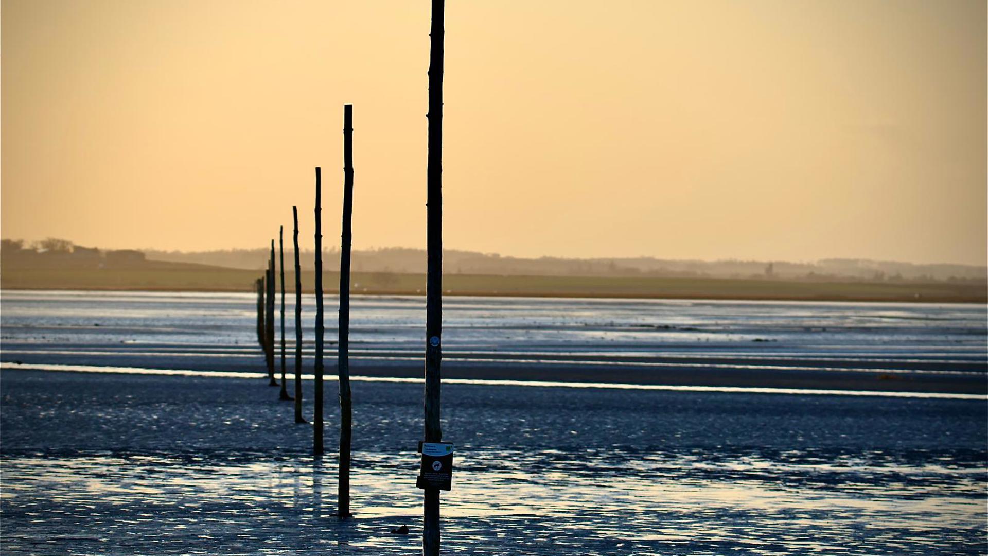 Holy Island Crossing