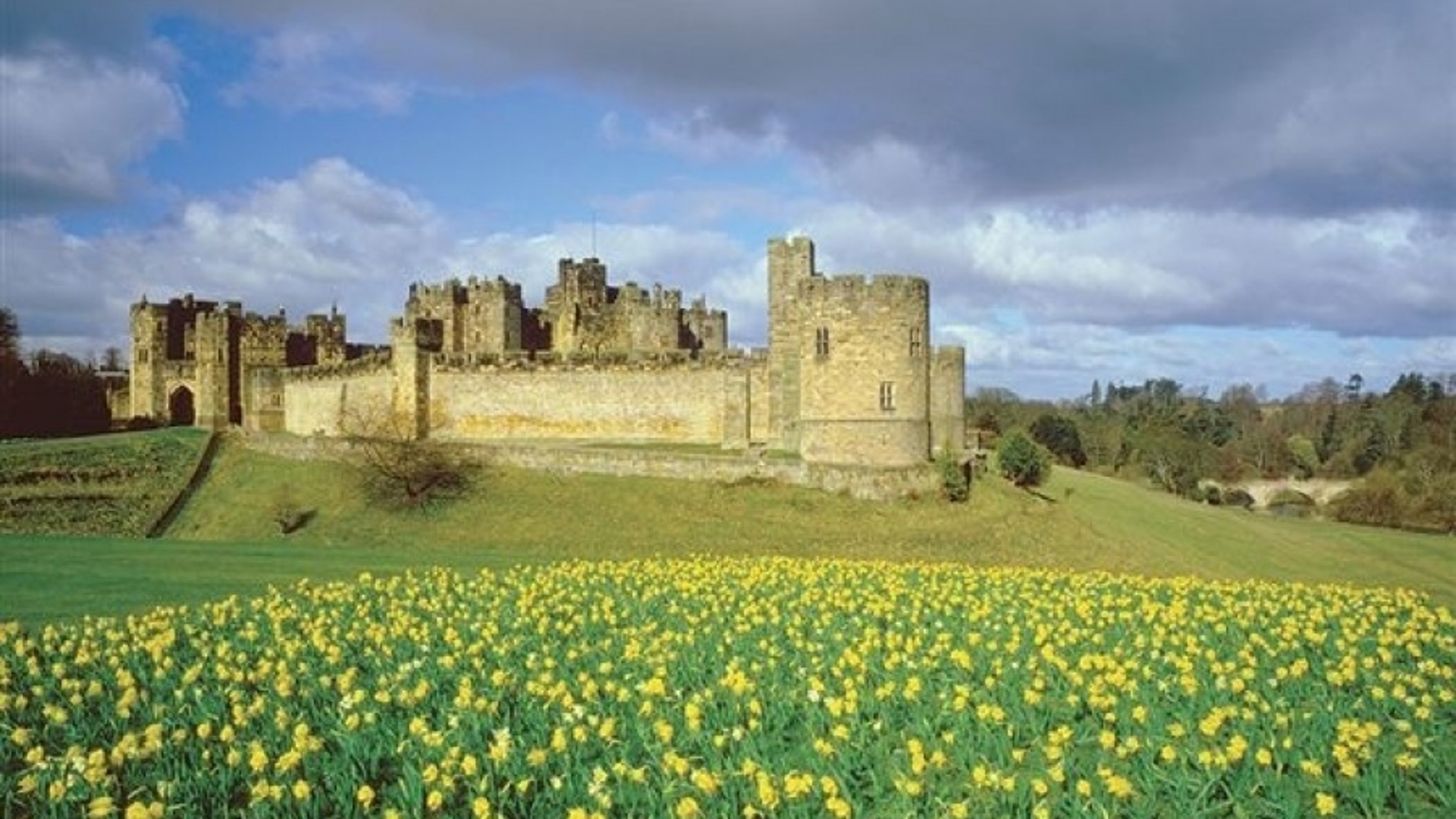 vn-large-Alnwick-Castle-Grounds.jpg