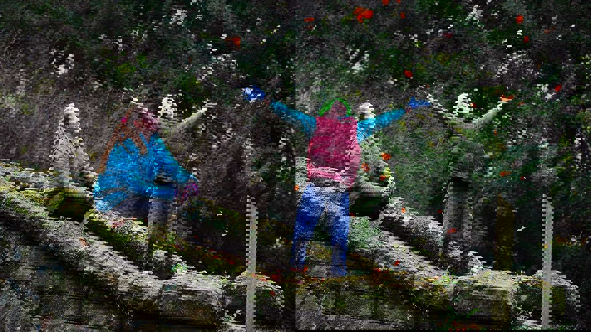 national-trust-halloween