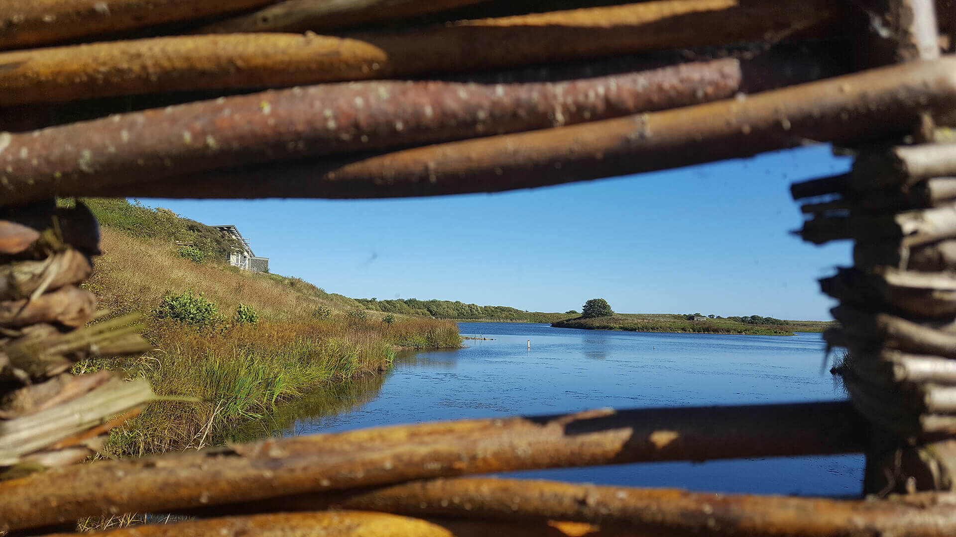 Activities-bird-watching-HERO-credit-Hauxley