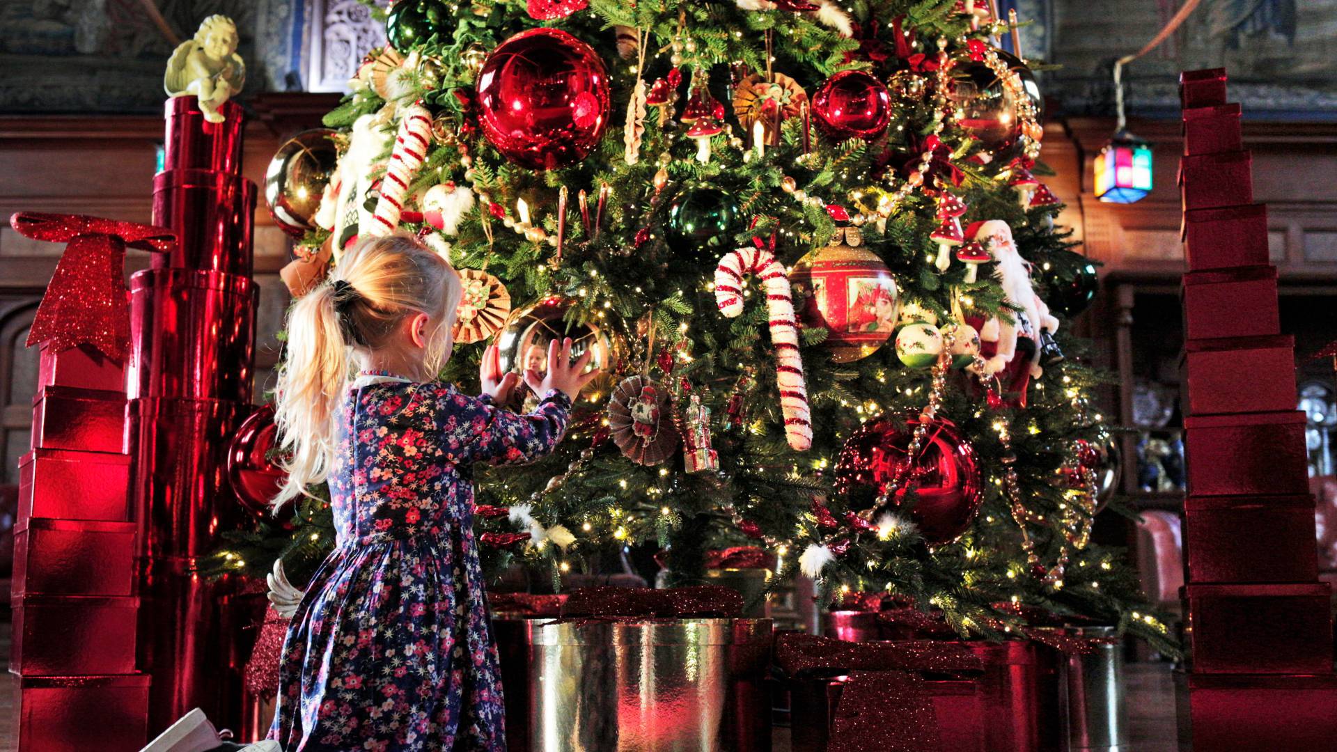 Bamburgh Castle Treasured Tales Twilight Event
