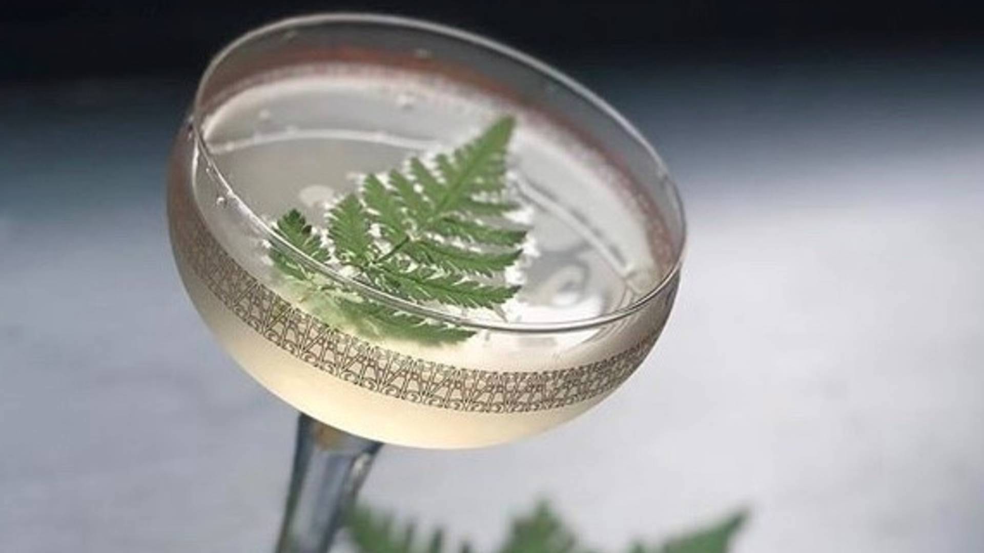 D&P Hepple Gin Tasting