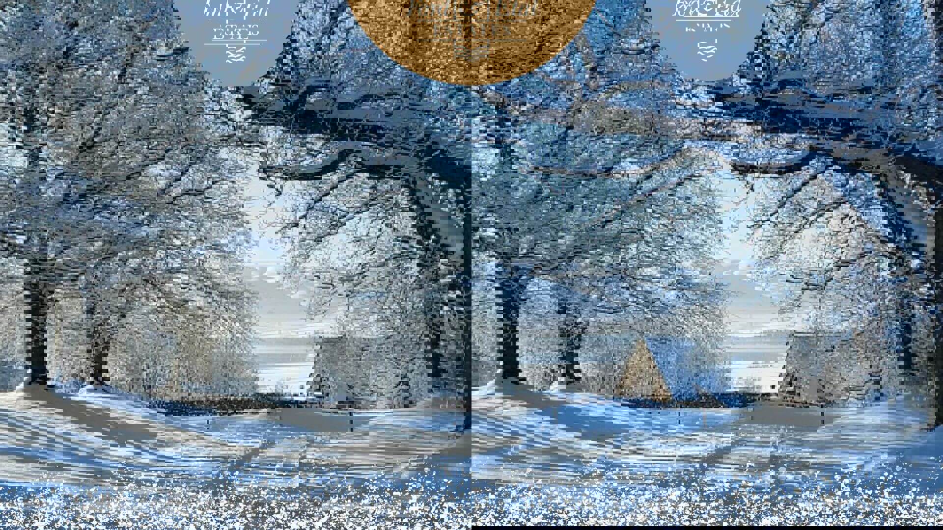 f-e_xmas_dec23_social