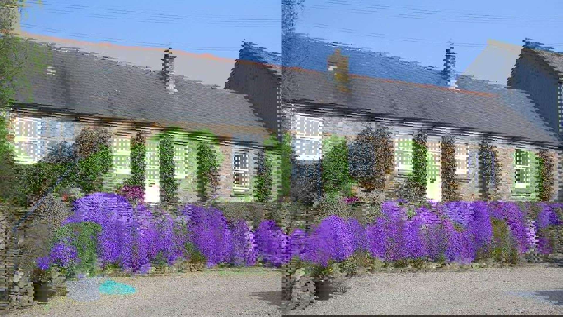 gibbs-hill-farm-cottages