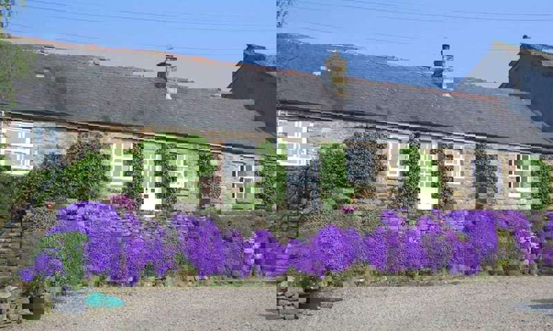 gibbs-hill-farm-cottages