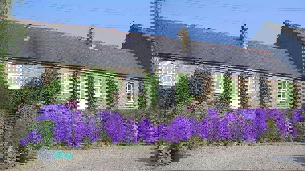 gibbs-hill-farm-cottages