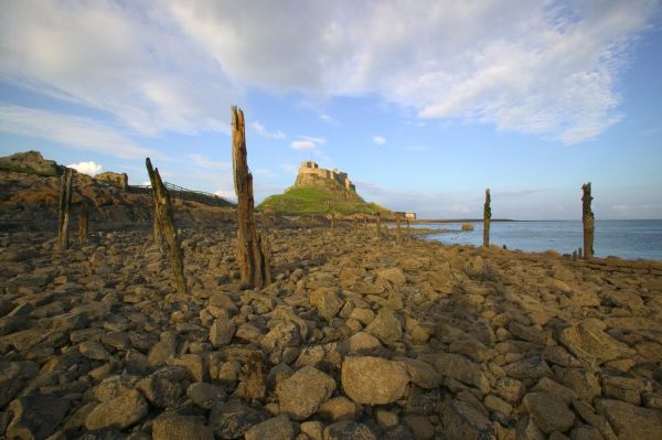 Diamond Celebrations for the Northumberland Coast AONB