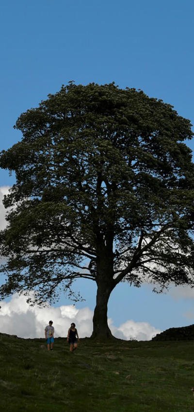 Walking-short-walks-Sycamore-gap-HERO@tynephotography
