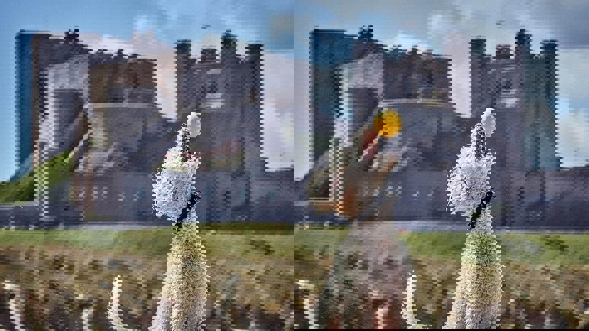 budget-northumberland