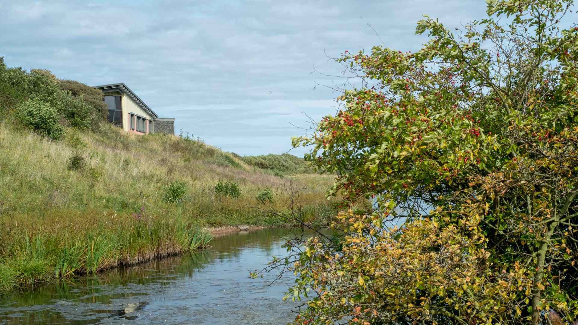 hauxley-reserve-walk-nwt