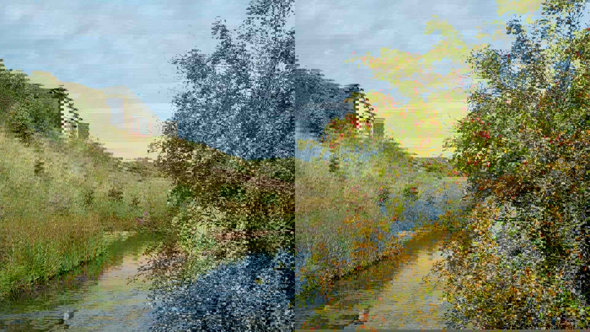 hauxley-reserve-walk-nwt