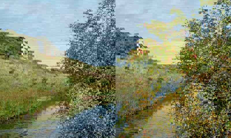 hauxley-reserve-walk-nwt