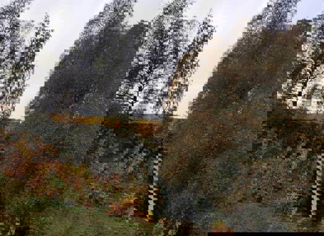 feature-image-powburn_NEW